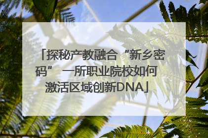 探秘产教融合“新乡密码” 一所职业院校如何激活区域创新DNA