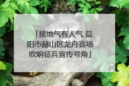 接地气有人气 益阳市赫山区龙舟赛场吹响征兵宣传号角