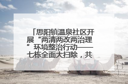 思阳镇温泉社区开展“两清两改两治理”环境整治行动——七栋全面大扫除，共建洁净家园
