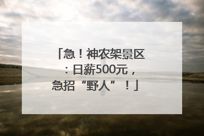急！神农架景区：日薪500元，急招“野人”！