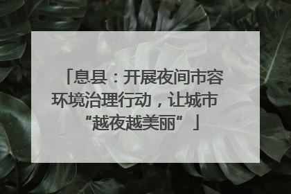 息县：开展夜间市容环境治理行动，让城市 “越夜越美丽”