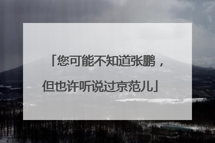您可能不知道张鹏，但也许听说过京范儿