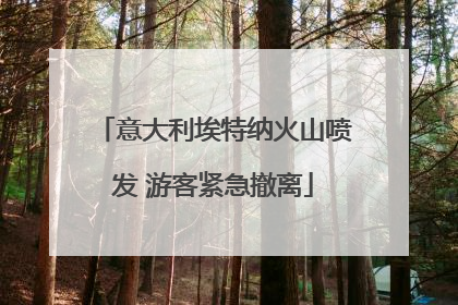 意大利埃特纳火山喷发 游客紧急撤离