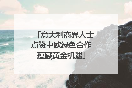 意大利商界人士点赞中欧绿色合作蕴藏黄金机遇