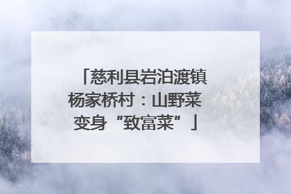 慈利县岩泊渡镇杨家桥村：山野菜变身“致富菜”
