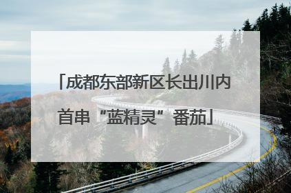 成都东部新区长出川内首串“蓝精灵”番茄