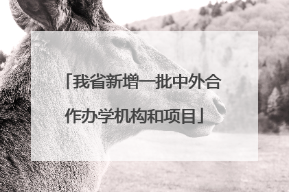 我省新增一批中外合作办学机构和项目