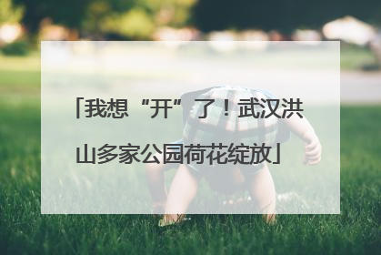 我想“开”了！武汉洪山多家公园荷花绽放