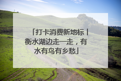 打卡消费新地标丨衡水湖边走一走，有水有鸟有乡愁