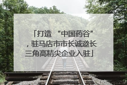 打造 “中国药谷”，驻马店市市长诚邀长三角高精尖企业入驻