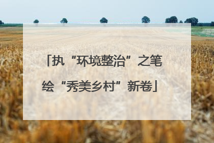 执“环境整治”之笔 绘“秀美乡村”新卷