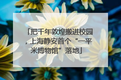 把千年敦煌搬进校园，上海静安首个“一平米博物馆”落地