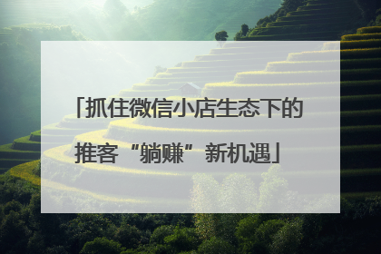 抓住微信小店生态下的推客“躺赚”新机遇