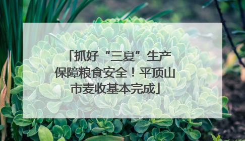 抓好“三夏”生产 保障粮食安全！平顶山市麦收基本完成