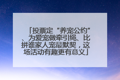 投票定“养宠公约”、为爱宠做牵引绳、比拼谁家人宠最默契，这场活动有趣更有意义