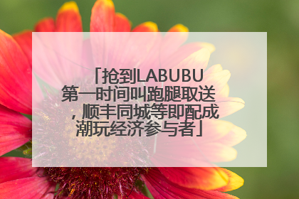 抢到LABUBU第一时间叫跑腿取送，顺丰同城等即配成潮玩经济参与者