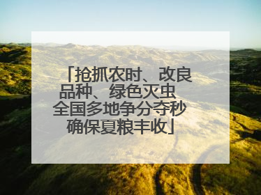 抢抓农时、改良品种、绿色灭虫 全国多地争分夺秒确保夏粮丰收