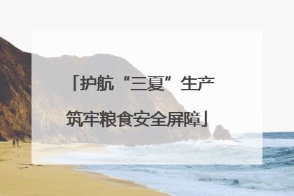 护航“三夏”生产 筑牢粮食安全屏障