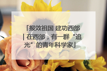 报效祖国 建功西部｜在西部，有一群“追光”的青年科学家