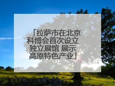 拉萨市在北京科博会首次设立独立展馆 展示高原特色产业