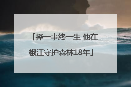 择一事终一生 他在椒江守护森林18年