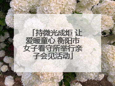 持微光成炬 让爱暖童心 衡阳市女子看守所举行亲子会见活动