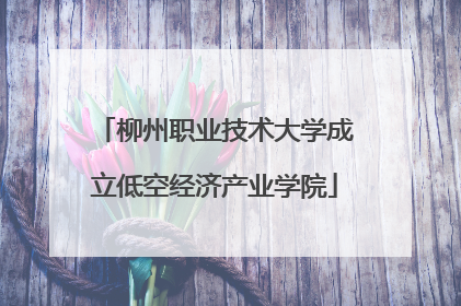 柳州职业技术大学成立低空经济产业学院