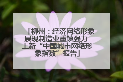 柳州：经济网络形象展现制造业重镇强力 上新“中国城市网络形象指数”报告