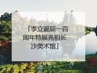 李立诞辰一百周年特展亮相长沙美术馆