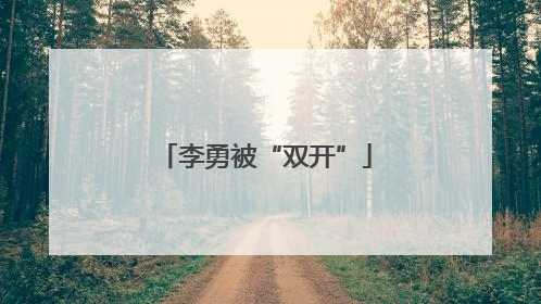 李勇被“双开”
