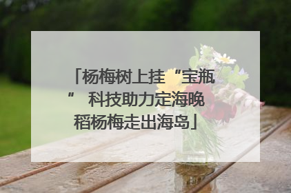 杨梅树上挂“宝瓶” 科技助力定海晚稻杨梅走出海岛