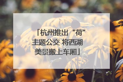杭州推出“荷”主题公交 将西湖美景搬上车厢