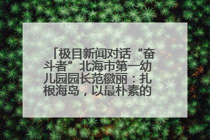 极目新闻对话“奋斗者”北海市第一幼儿园园长范徽丽：扎根海岛，以最朴素的爱践行教育的梦想