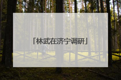 林武在济宁调研