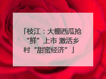 枝江：大棚西瓜抢“鲜”上市 激活乡村“甜蜜经济”