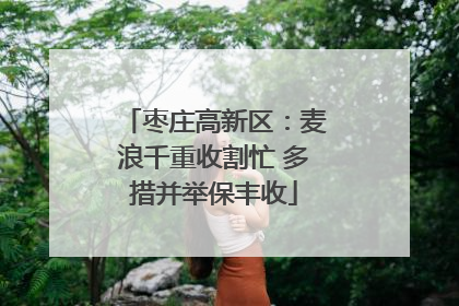 枣庄高新区：麦浪千重收割忙 多措并举保丰收