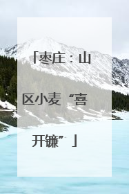 枣庄：山区小麦“喜开镰”
