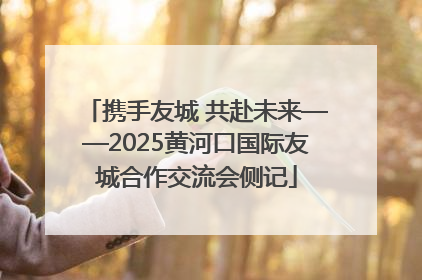 携手友城 共赴未来——2025黄河口国际友城合作交流会侧记