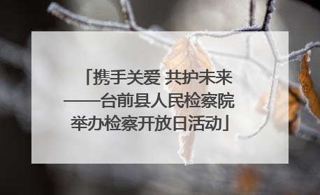 携手关爱 共护未来——台前县人民检察院举办检察开放日活动