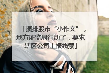 摸排股市“小作文”，地方证监局行动了，要求辖区公司上报线索