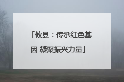 攸县：传承红色基因 凝聚振兴力量