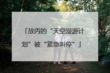 敖丙的“天空漫游计划”被“紧急叫停”