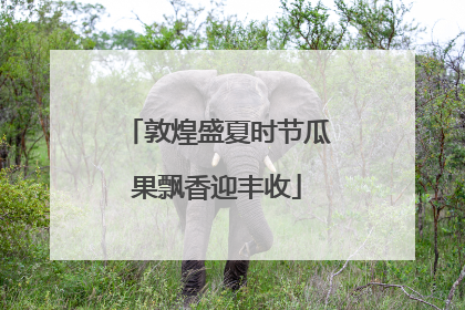 敦煌盛夏时节瓜果飘香迎丰收