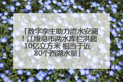 数字孪生助力澧水安澜！江垭皂市两水库拦洪超10亿立方米 相当于近80个西湖水量
