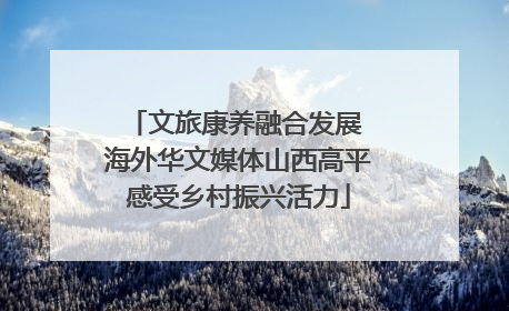 文旅康养融合发展 海外华文媒体山西高平感受乡村振兴活力