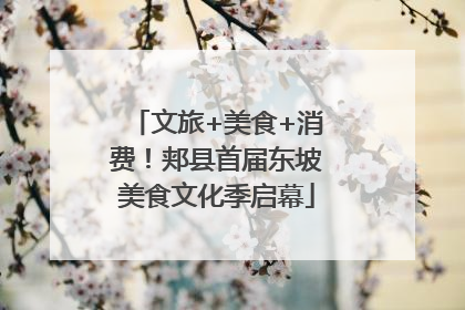 文旅+美食+消费！郏县首届东坡美食文化季启幕