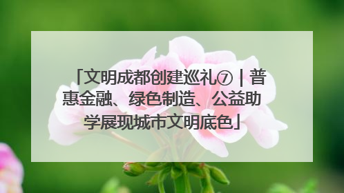 文明成都创建巡礼⑦｜普惠金融、绿色制造、公益助学展现城市文明底色
