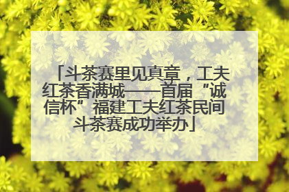 斗茶赛里见真章，工夫红茶香满城——首届“诚信杯”福建工夫红茶民间斗茶赛成功举办