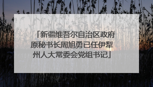 新疆维吾尔自治区政府原秘书长周旭勇已任伊犁州人大常委会党组书记