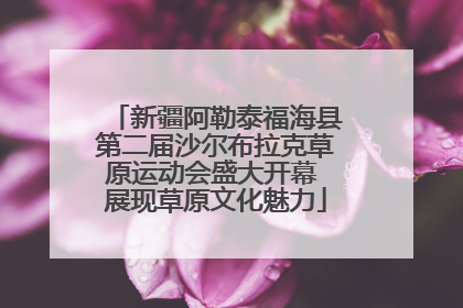 新疆阿勒泰福海县第二届沙尔布拉克草原运动会盛大开幕 展现草原文化魅力